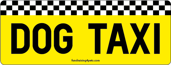 Pet Taxi (720x504), Png Download