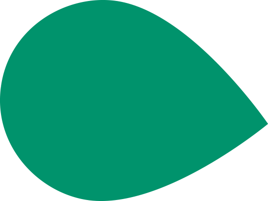 News - The New Leaf Project (546x410), Png Download