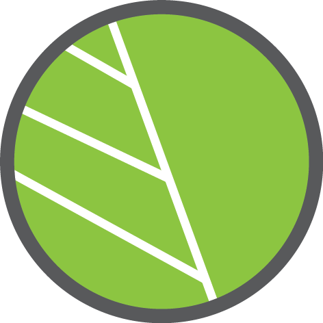 Leaf Circle Png (472x472), Png Download