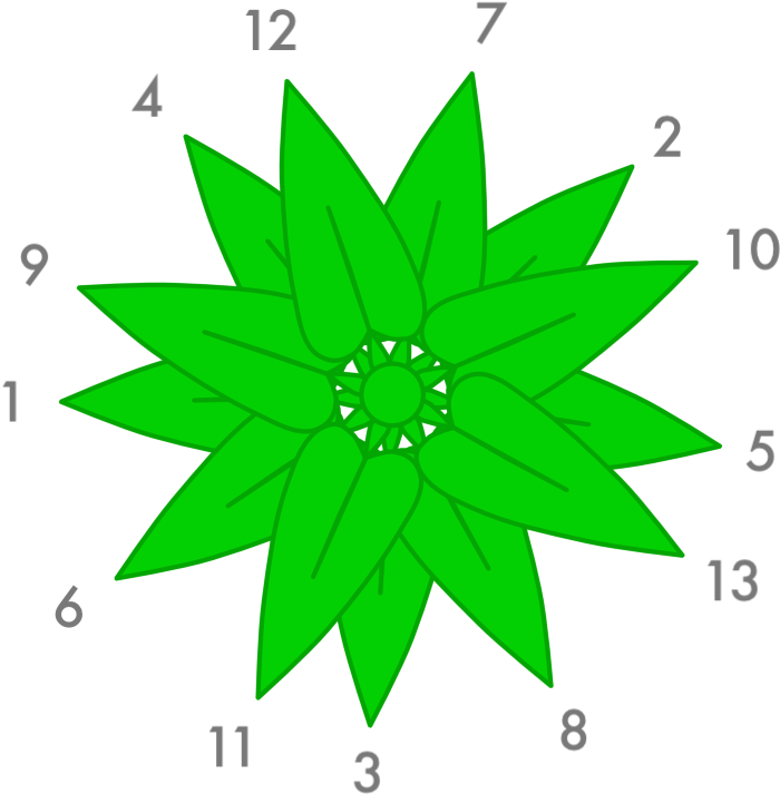 Leaf Growth - Golden Ratio In Leaves (766x743), Png Download