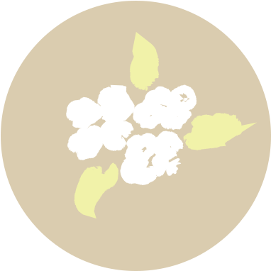 New Day Elements - Illustration (456x456), Png Download