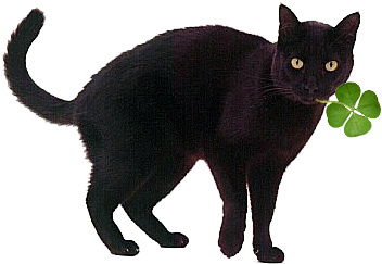 Lucky-cat - Black Cat Gif Png (464x298), Png Download