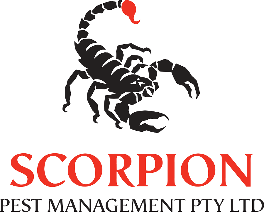 Image - Scorpion Pest Management (900x723), Png Download