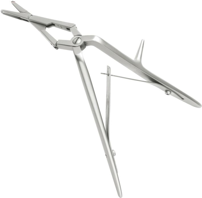 Bone (750x727), Png Download