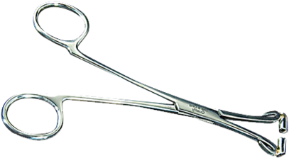 Septum Forceps 6" No Ratchet - Surgical Instrument (480x480), Png Download