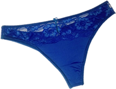 Colaless Lycra Con Encaje - Bombacha De Lycra Colaless (500x500), Png Download