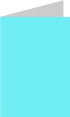 4 X 6 Portrait - Portrait (546x546), Png Download