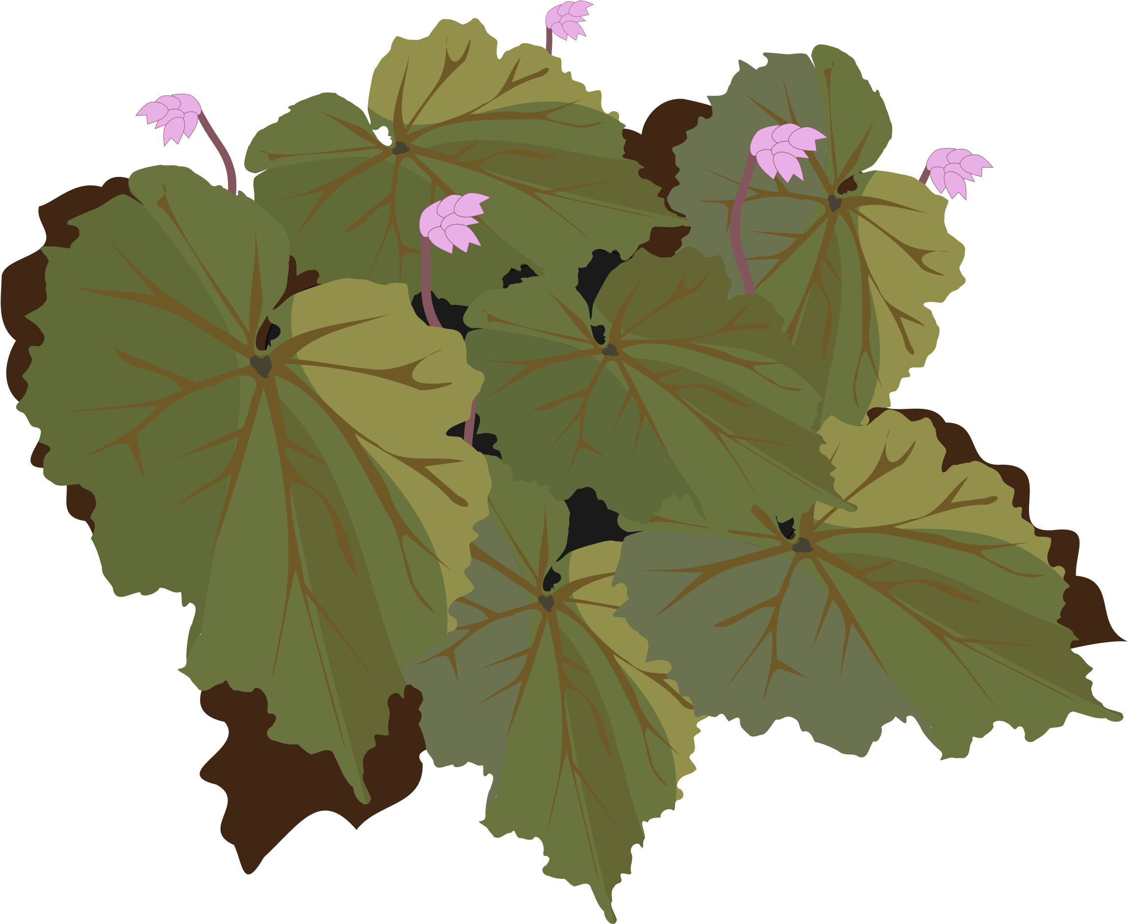 This Free Icons Png Design Of Begonia-01 (2400x2400), Png Download