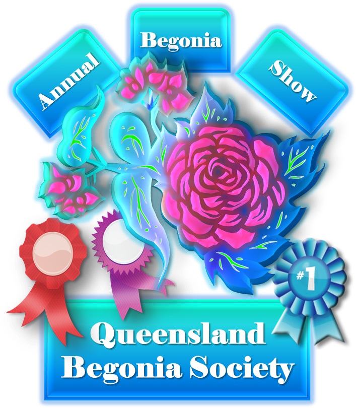 Click Here To See The 2012 Annual Begonia Slideshow - Begonia (742x817), Png Download