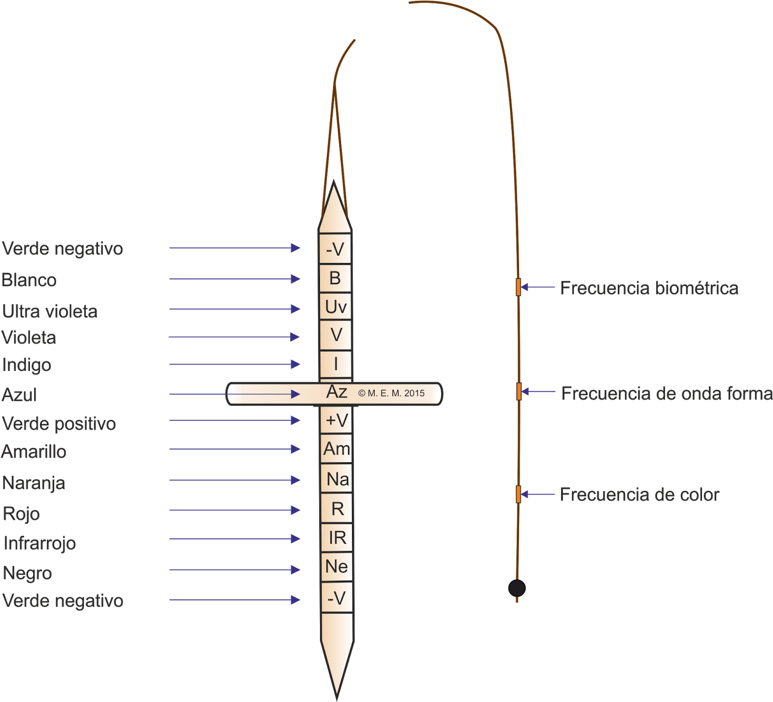 El Péndulo O Cono Virtual Dispone De Un Disco Que Se - Pendulo Cromatico (1600x1422), Png Download