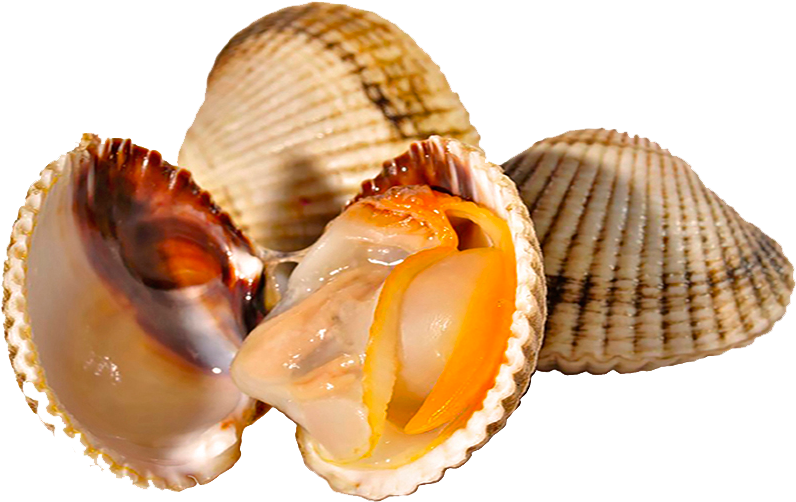 Disfrute De Nuestro Marisco - Imagens De Mariscos Png (900x600), Png Download