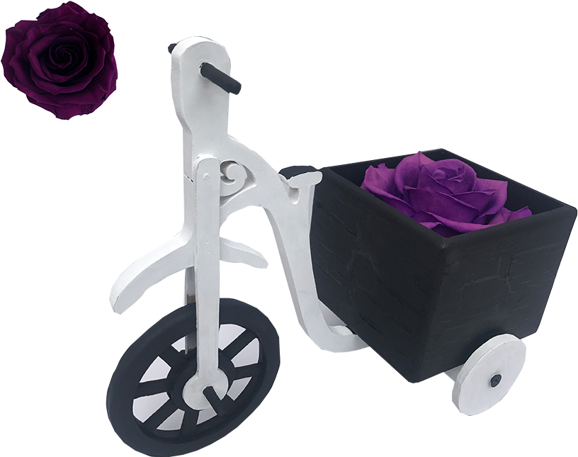 Bici Negroblanco Rosa Morada (960x720), Png Download