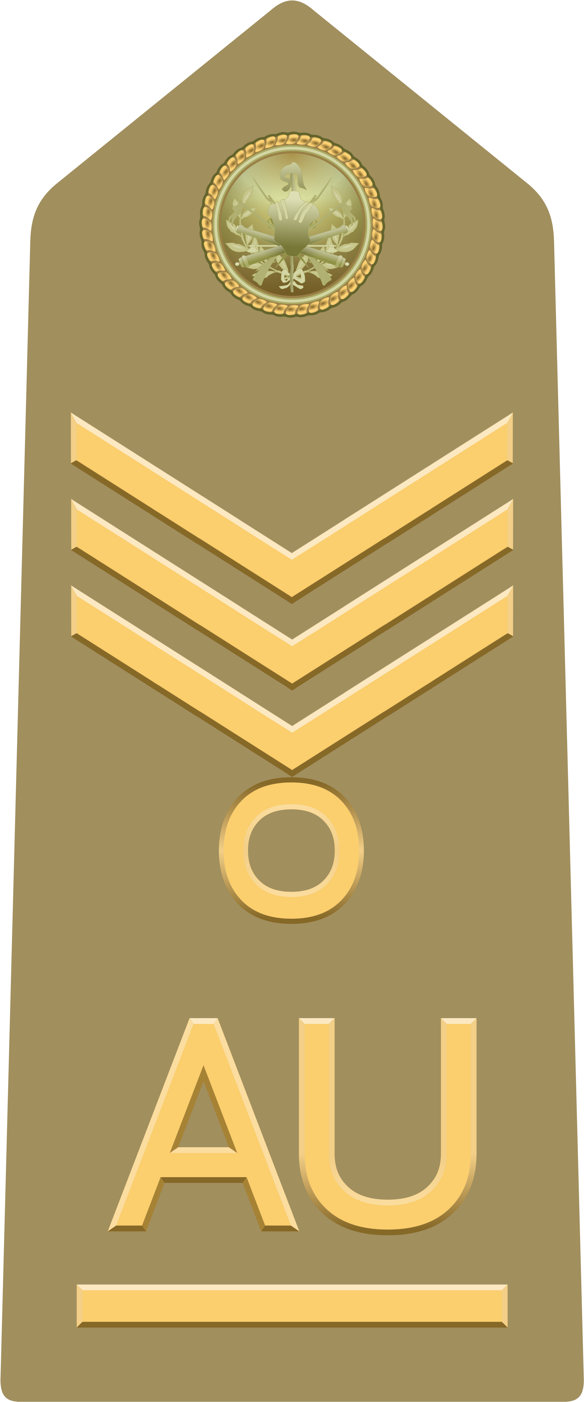 Allievo Ufficiale Capo Scelto Di Reggimento Of The - Allievo Ufficiale Grado (2000x4744), Png Download