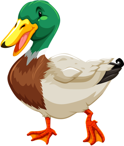 Visit - Different Kind Of Ducks (423x500), Png Download