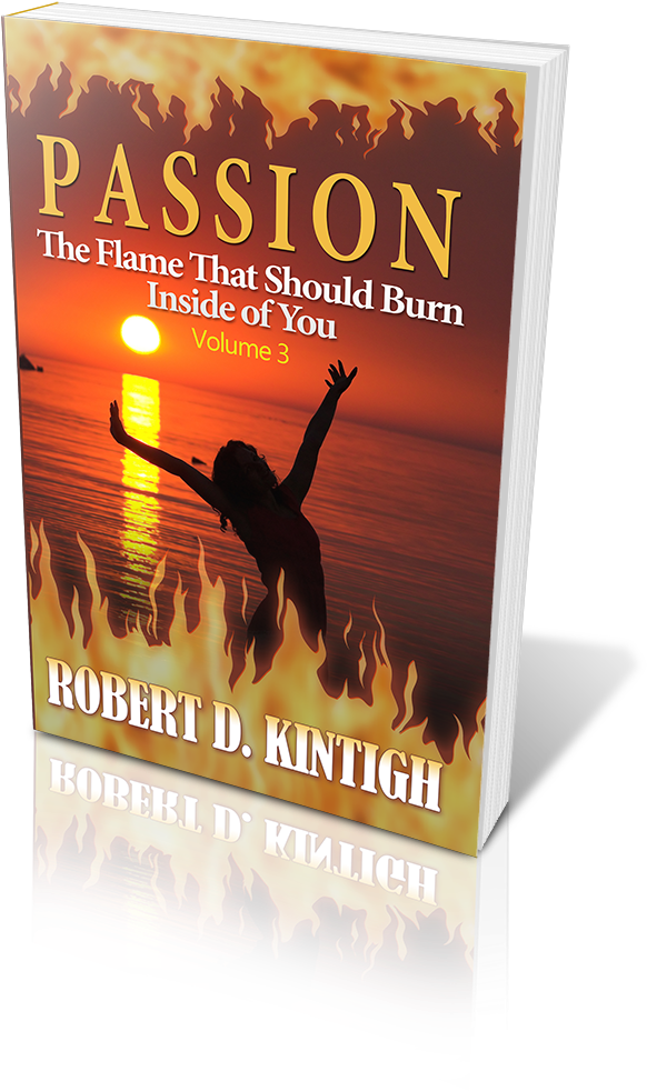 Scm Web Team Offers Professional Ebook Covers And 3d - Passion: The Flame That Should Burn Inside (800x1120), Png Download