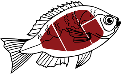 Poisson D Avril A Colorier (429x287), Png Download