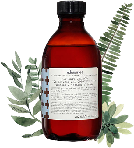 Alchemic Shampoo / Tobacco - Davines Alchemic Shampoo - Tobacco 280ml (536x536), Png Download
