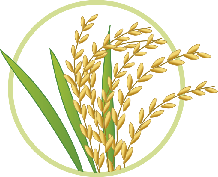 Harina De Arroz Blog De Panes Y Repostería Saludable, - Gif De Planta De Arroz (727x591), Png Download