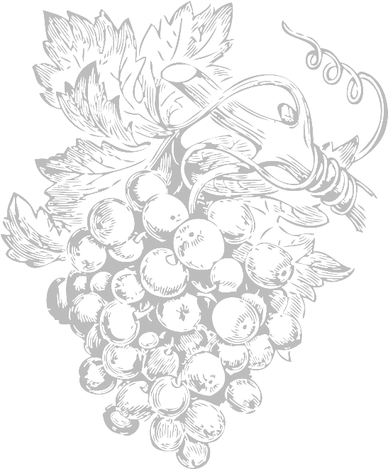 Vines - Grapes Free Vector Art (660x660), Png Download