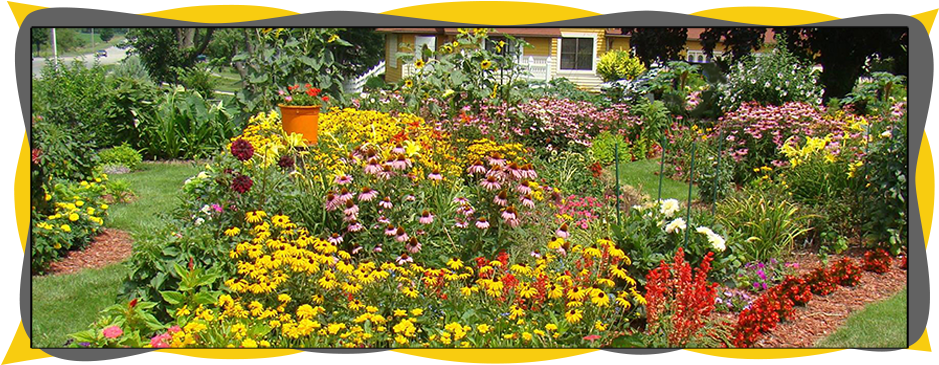 Butterfly Gardening (960x401), Png Download