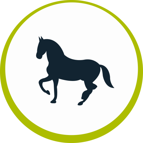 Equine - Icono Caballo Png (500x500), Png Download