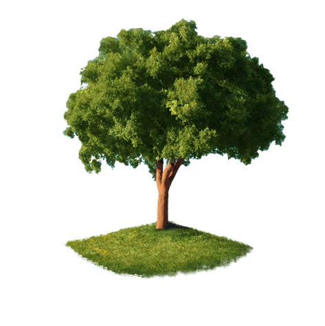 Home-tree - Tree Png Perspective View (473x475), Png Download