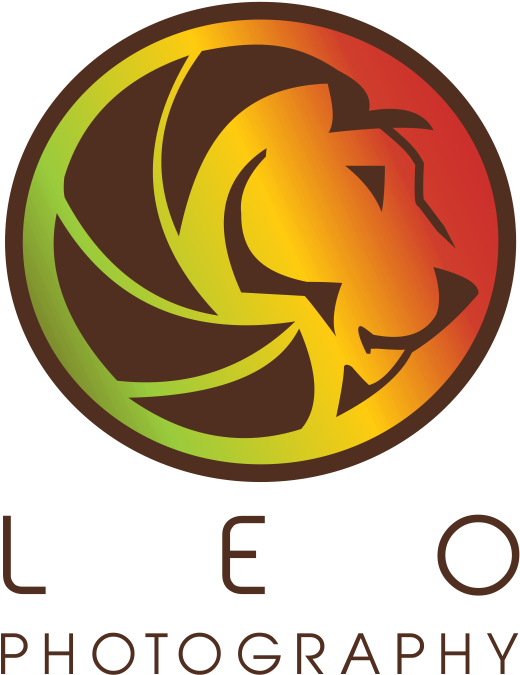 Leo Photography Png (827x828), Png Download