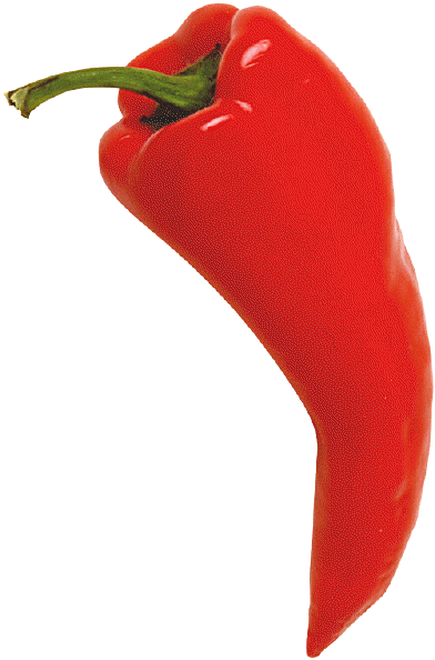 Chili Pepper Red - Chili Pepper (392x594), Png Download