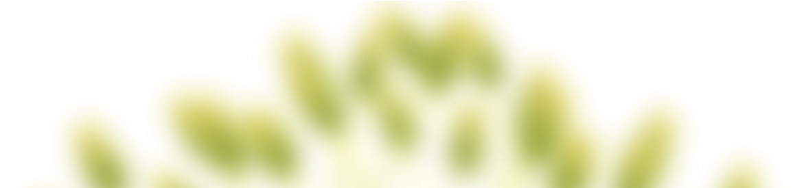 Gorros Gomaespuma - Macro Photography (1196x350), Png Download