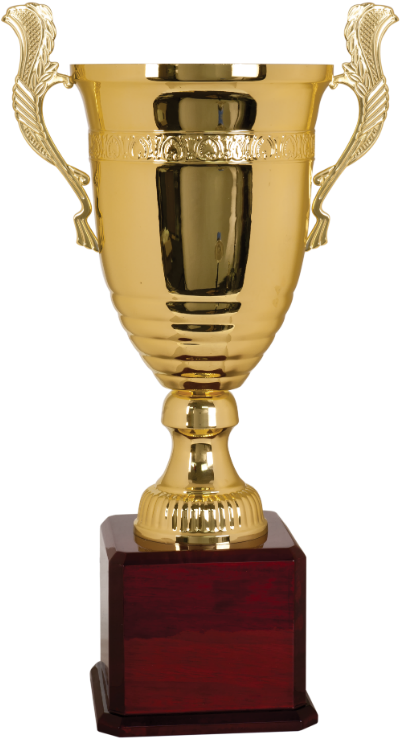Gold Metal Cup On Piano Finish Base - Trophy Cup (413x750), Png Download