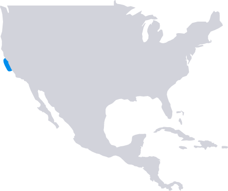 Sea Otter Range Map - Business Opportunities In The Pacific Alliance By John (454x380), Png Download