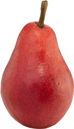 Starkrimson - Starkrimson Pear (490x450), Png Download
