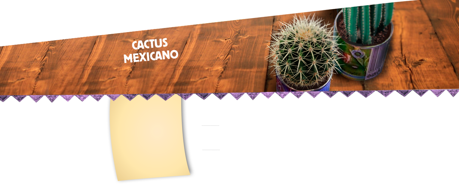 Foto Principal - Cactus (1530x613), Png Download