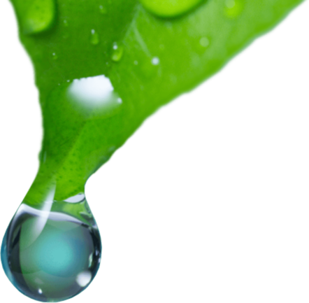 Aegea Medical's Adaptive Vapor Ablation Technology - Vesipisaroita (442x433), Png Download