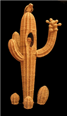 Cactus (408x408), Png Download
