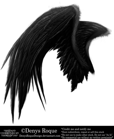Vieja Versión Ala Negra Por Denysroquedesign Alas Negras, - Ala De Angel Negra (400x486), Png Download