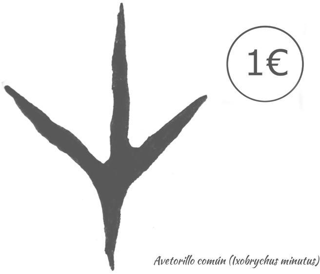 Plumaje Del Macho Con Alas Negras Y Panel Alar Amarillento, - Silhouette (759x586), Png Download