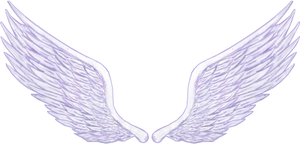 Cosas Para Photoscape - Alas Png Para Photoshop (662x287), Png Download
