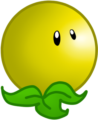 Yellow Sun Plant - Smiley (568x479), Png Download