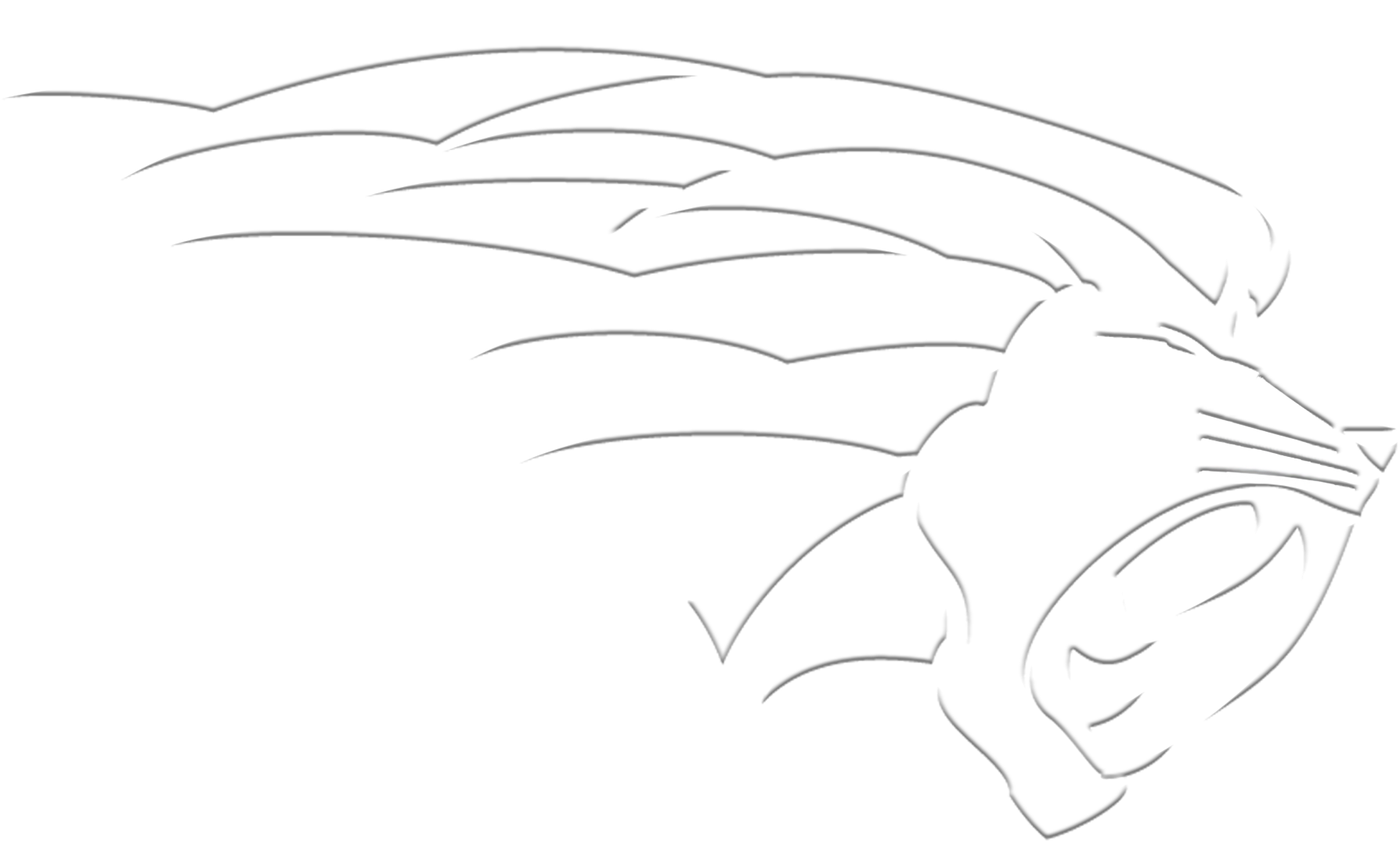 Download Home Black Lion Full Size PNG Image PNGkit