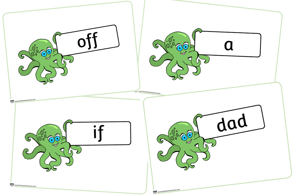 Octowordscover - Octopus (1000x667), Png Download