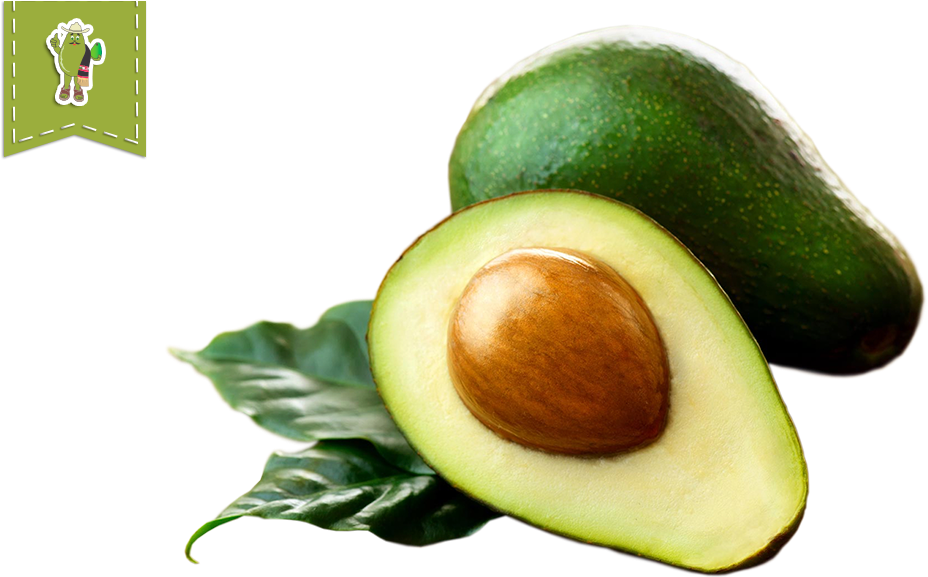 Organic Hass Avocado - Earth Aura Soap - Beauty Spa, 75gm(pack (1170x600), Png Download