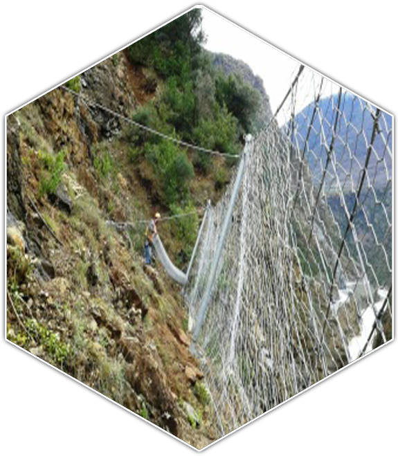 Rockfall Barriers Are Designed To Resist Or Catch Rocks - Forest (681x681), Png Download