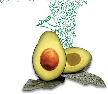 Avocado Mattress- Brown Inside - Medicina Natural Para El Ácido Úrico (376x326), Png Download