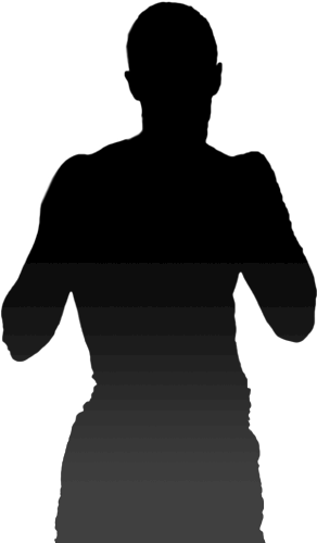 Twitter Vlad Diamond Tuinov - Wwe Vacant Women Png (346x515), Png Download