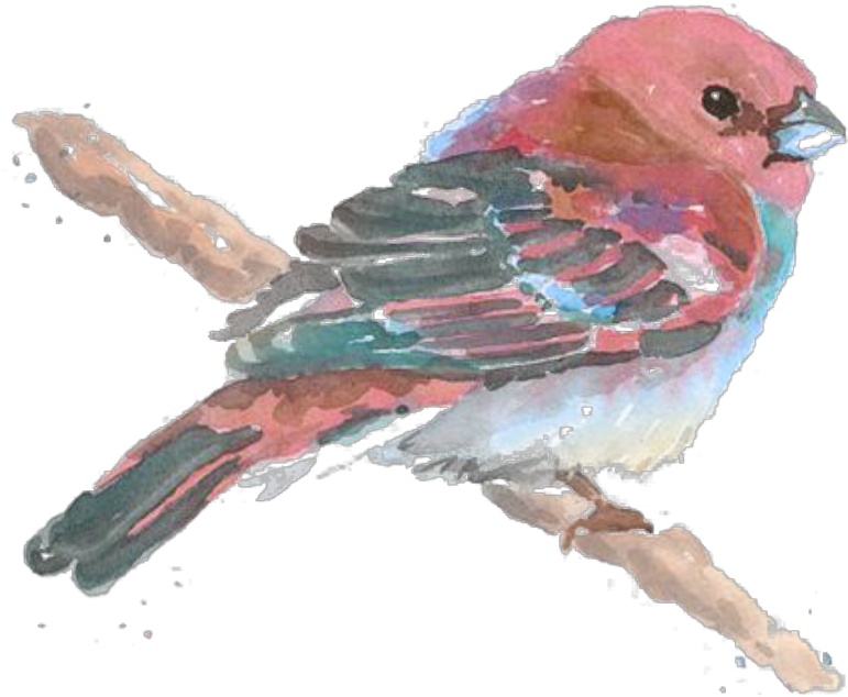 Report Abuse - Watercolor Painting (1024x1280), Png Download