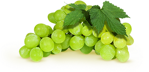 Flavoured Sparkling Water White Grapes - Hrozny Bílé (538x324), Png Download