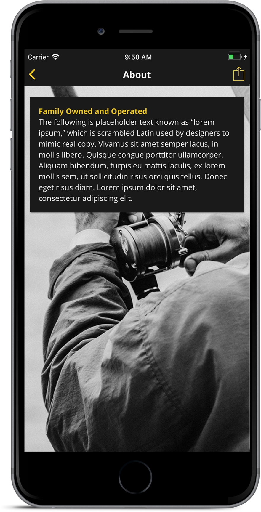 Template 1 Screen2 - Shimano Tld Ii Lever Drag (1000x1781), Png Download