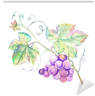 Grape Leaves (400x400), Png Download