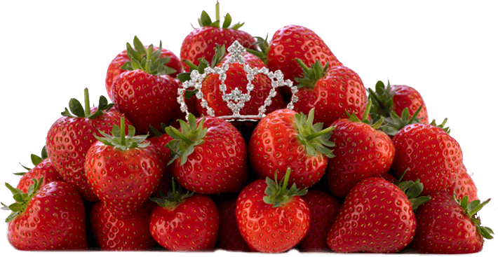 All Jubilee Selections Growers Are Experts In Growing - Fruits Crown Png (710x367), Png Download